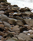 Lumps of rock