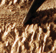 Texturing stone